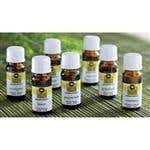 Wholesale Essential Oils - Pure Essential Oils - Buy Essential Oils