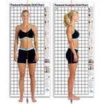 Sit And Reach Box - Postural Analysis Chart - Posture Grid