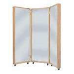 Medical Privacy Screens - Hospital Privacy Curtains - Medical Mirrors