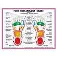 8.5" X 11" Foot And Hand Charts Set