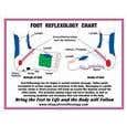 8.5" X 11" Foot And Hand Charts Set