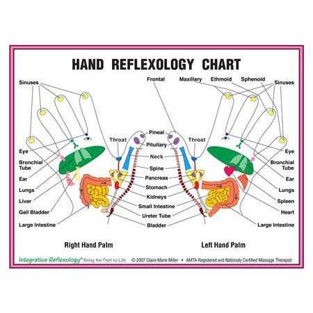8.5" X 11" Foot And Hand Charts Set