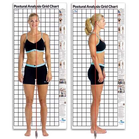 Kent Postural Analysis Grid Chart-Original