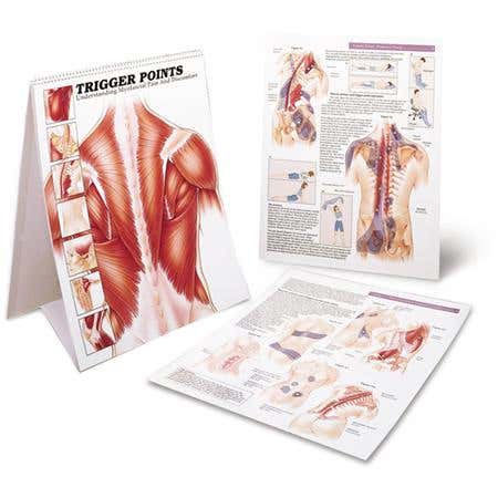 Trigger Points Charts
