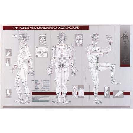 Points &amp; Meridians Of Acupuncture Chart 23" X 36"
