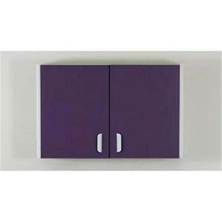 Wall Cabinet W/ 2 Doors
