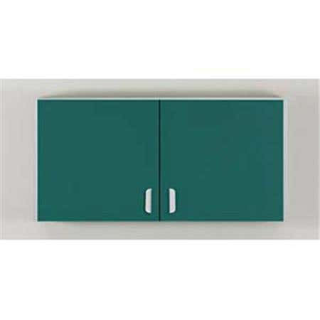 48" Long Wall Cabinet With 2 Doors