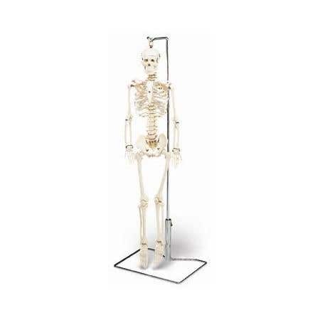 Mr. Thifty With Nerves