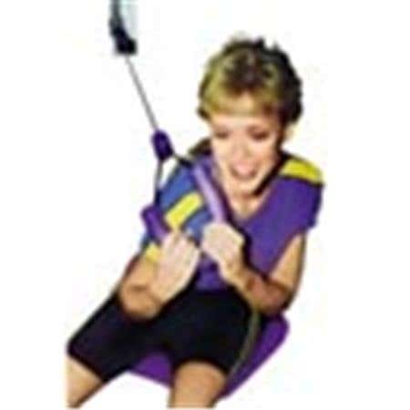 Synergy Lumbar Rehab Dvd Kits