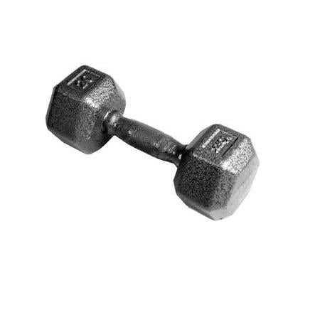 Hex Dumbbells 20 Lb