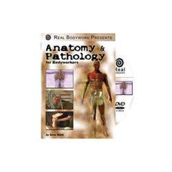 Anatomy And Pathology For Bodyworkers Dvd S Reihl
