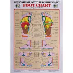 Int. Institute Of Reflexology Foot Chart 23 X 30"