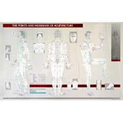 The Points And Meridians Of Acupuncture Chart