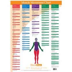 Kent Trigger Point Charts - Muscle Movements