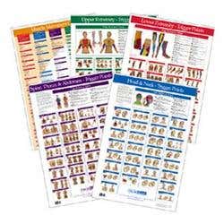 Kent Trigger Point Charts - Set Of 5