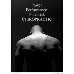 Power Of Chiropractic Poster 18"X24"