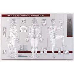 Points &amp; Meridians Of Acupuncture Chart 23" X 36"
