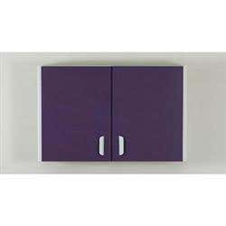 Wall Cabinet W/ 2 Doors