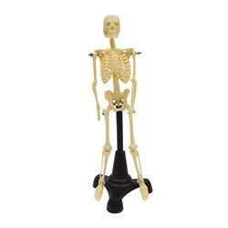 Petite Pete Skeleton