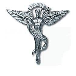 Aluminum Chiropractic Emblem, 25" X 26.5"