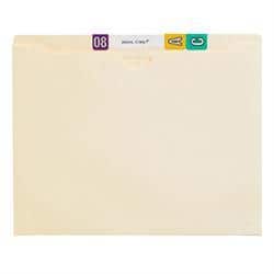 Expandable Vertical File Pocket, 50/Box