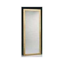 Posture Mirror