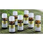 Lotus Touch Organic Essential Oil Ylang Ylang