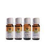 Lotus Touch Single Note Classic Pack, 10Ml