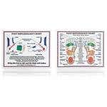 Laminated Foot Reflexology Chart 8.5" X 11"