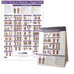 Kent Trigger Point Charts - Torso/Spine