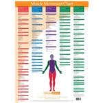 Kent Trigger Point Charts - Muscle Movements