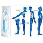 Free Dermatome Poster With Box Of Cleanwheel
