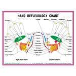 8.5" X 11" Hand Chart