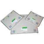 Xray Cassette & Screen Green 7X17