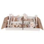 Disarticulated Half Skeleton - Right