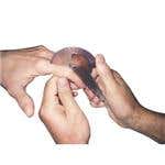 Baseline Plastic Finger Goniometer -Stainless Steel