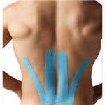 SpiderTech Lower Back Precut