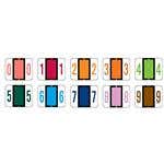 Laminated Numeric Labels, Tab/Smead Bccrn Match