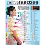 Nerve Function Handouts 50 Pack