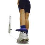 Synergy Knee Rehab Dvd Kits