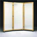 3-Way Posture Mirror W/ Casters