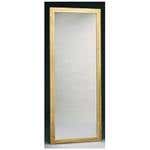 Posture Mirror