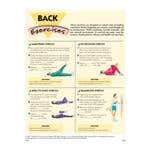 Back Exercises, 50 Tear-Off Sheets/Pad