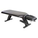 ErgoStyle Bench With Tilting Headpiece