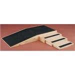 Curb & Ramp Training Set