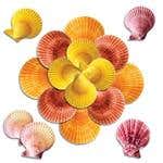 Sea Shells For Massage, Various Sz/Clr, Approx 30