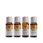 Lotus Touch Single Note Classic Pack, 10Ml