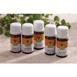 Lotus Touch Blended Essential Oil Trial Kit