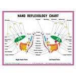 8.5" X 11" Foot And Hand Charts Set