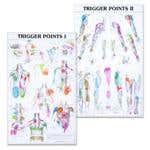 Trigger Point Charts Set(I &amp; Ii) Laminated